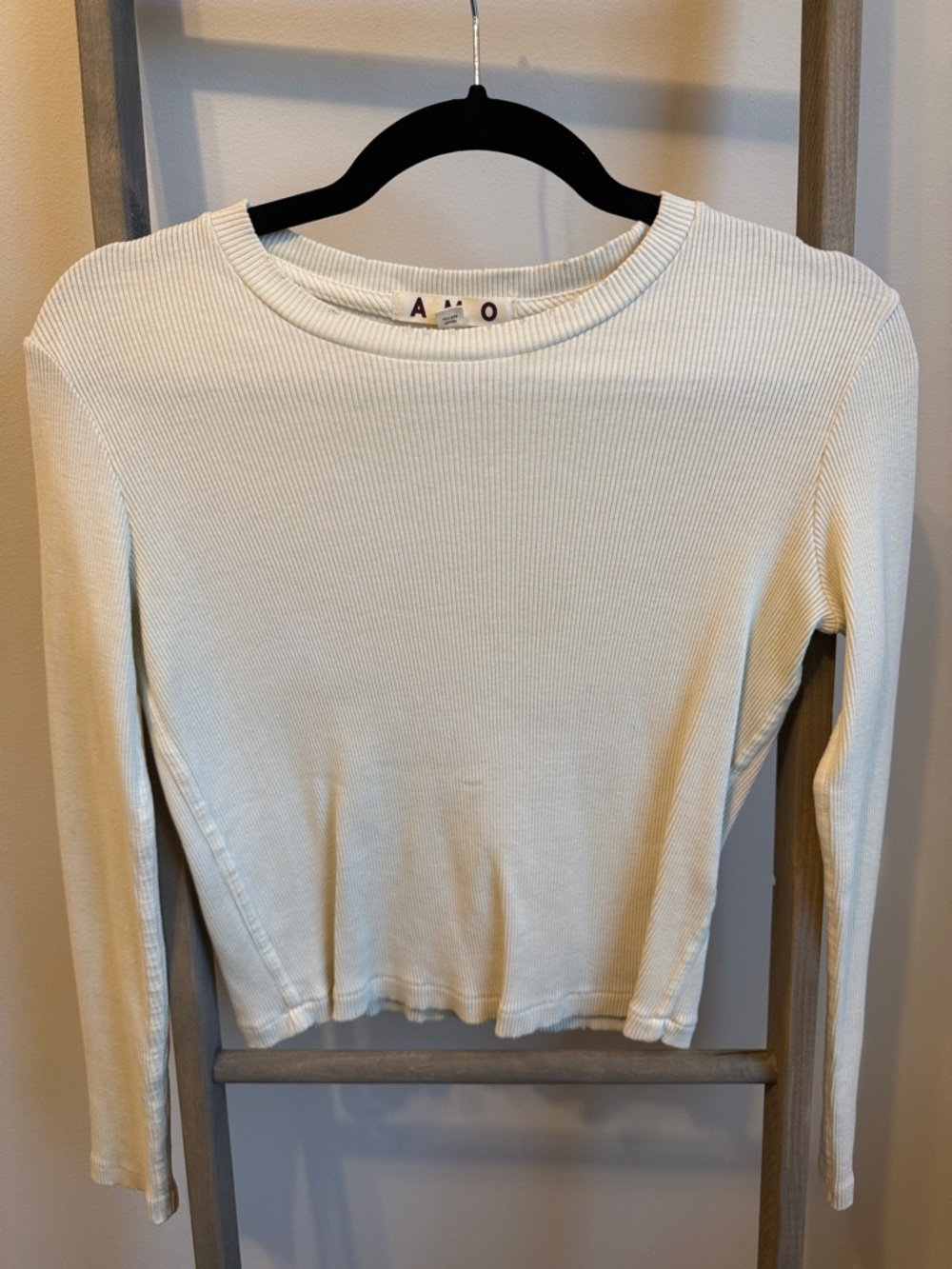 AMO Long Sleeve Ribbed Crewneck Top in Cream